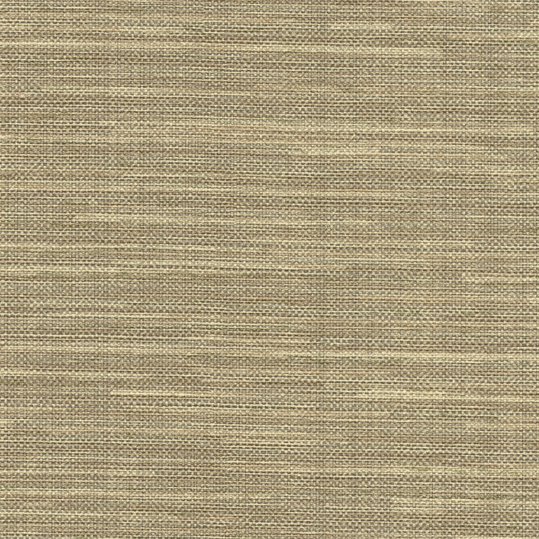 54" Warner X by Warner Wallcoverings 29657015