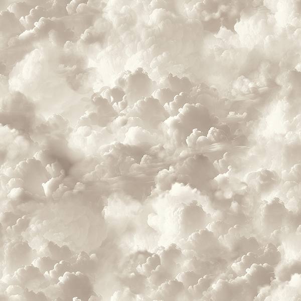 Merryweather Neutral Cloudy Skies Wallpaper
