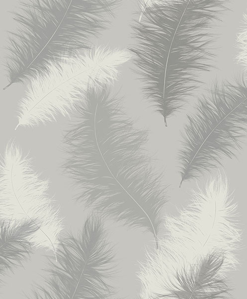Sussurro Grey Feathers Wallpaper