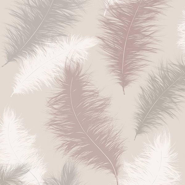 Sussurro Pink Feathers Wallpaper