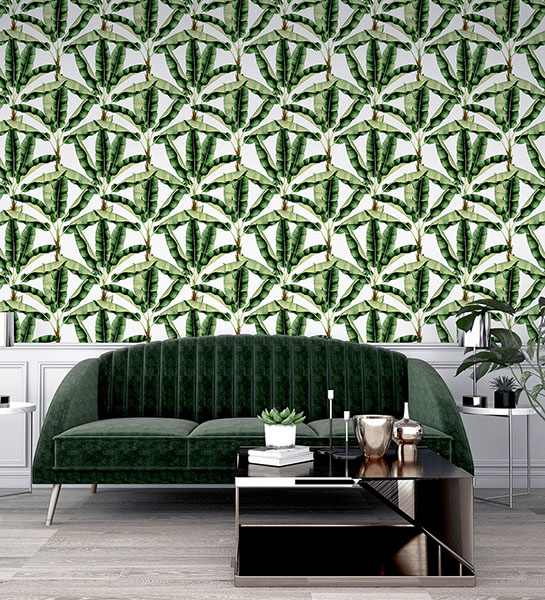 Musa Green Palm Tree Wallpaper