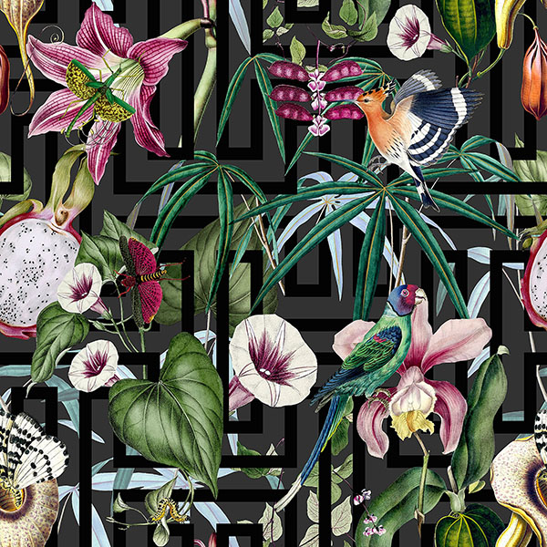 Lucretia Multicolor Tropical Wallpaper