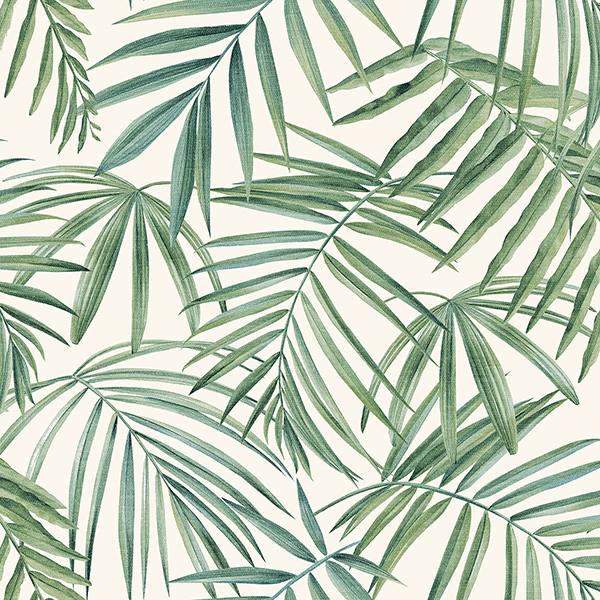 Juan Green Palm Leaves Wallpaper