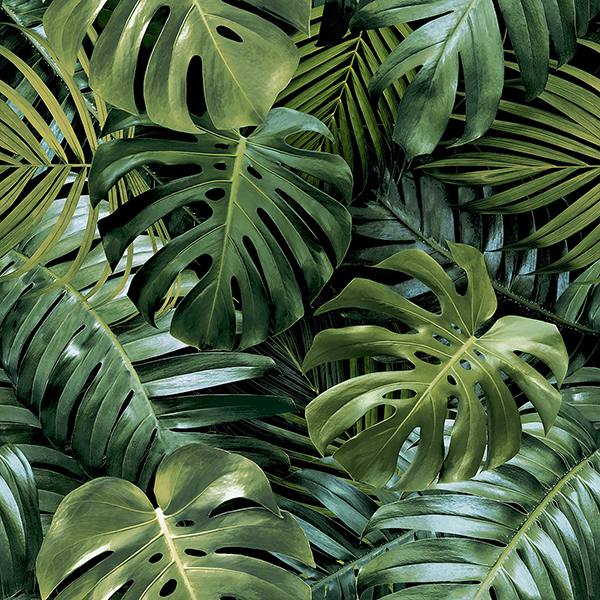 Harlynn Green Monstera Wallpaper