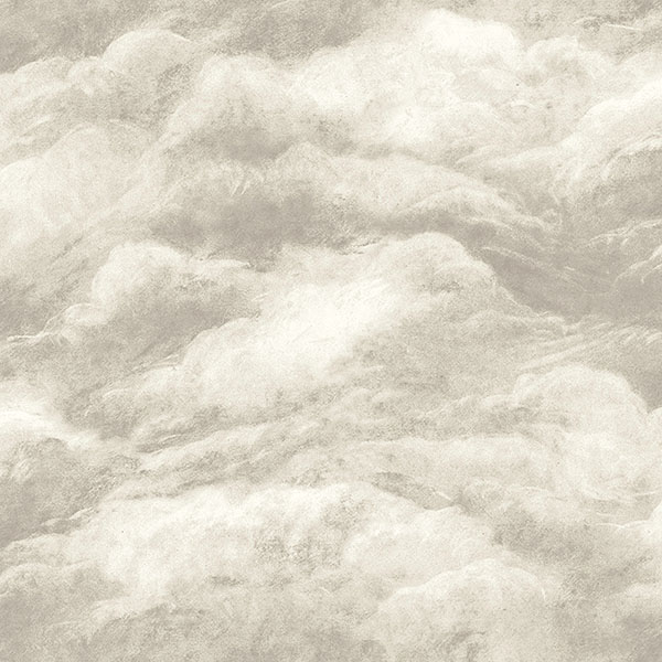 Nimbostratus Ash Cloud Wallpaper