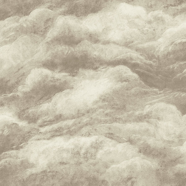 Nimbostratus Neutral Cloud Wallpaper