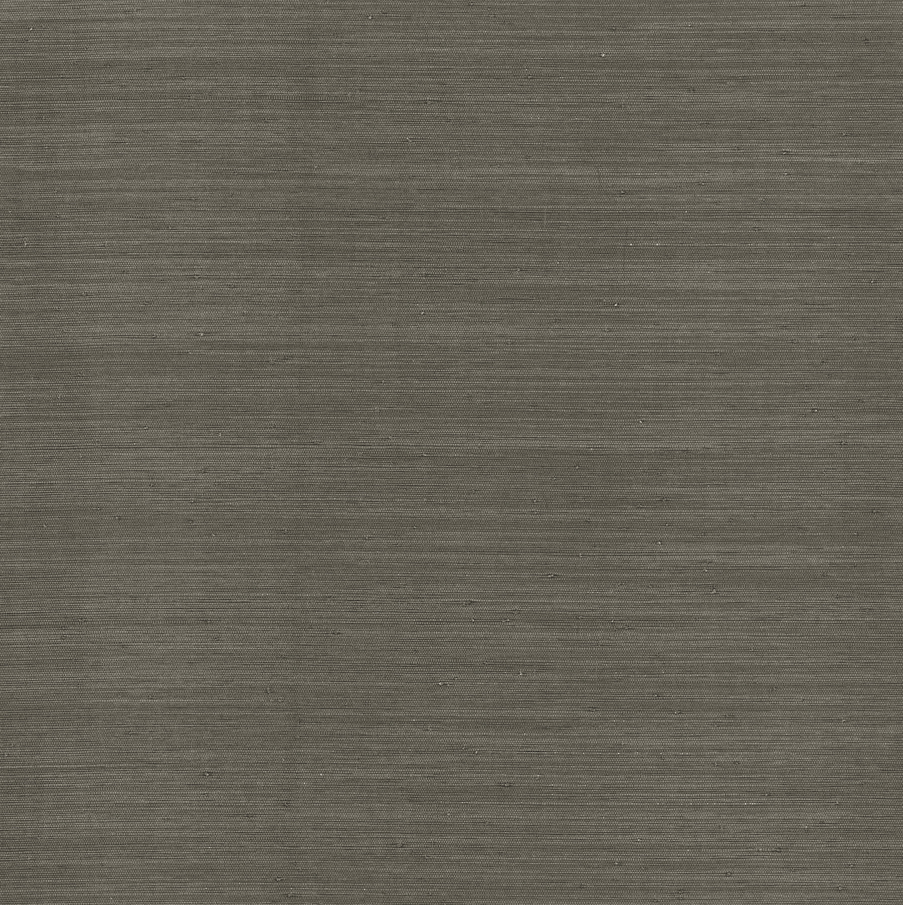 Chris Loves Juila by A-Street Prints and Brewster 417382103