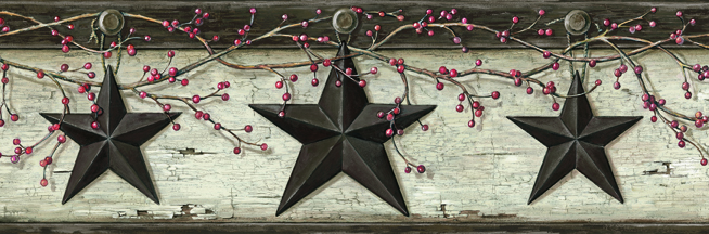 Ennis Black Rustic Barn Star Border