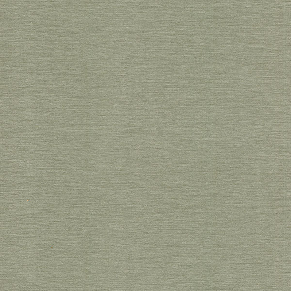 Infinity by Warner 41814733