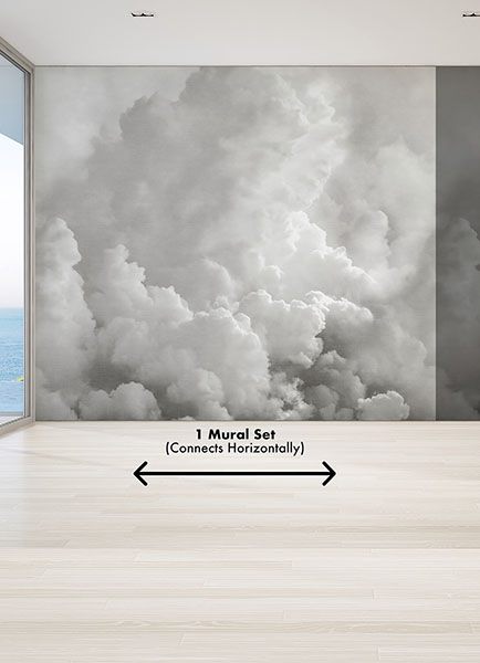In the Clouds Dove Grey Wall Mural