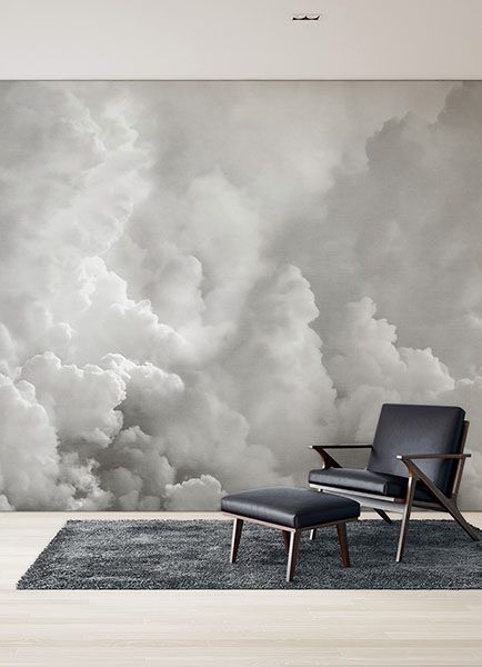 In the Clouds Dove Grey Wall Mural