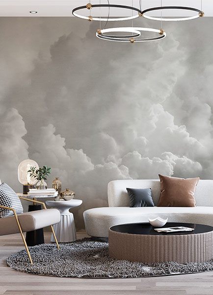 In the Clouds Dove Grey Wall Mural