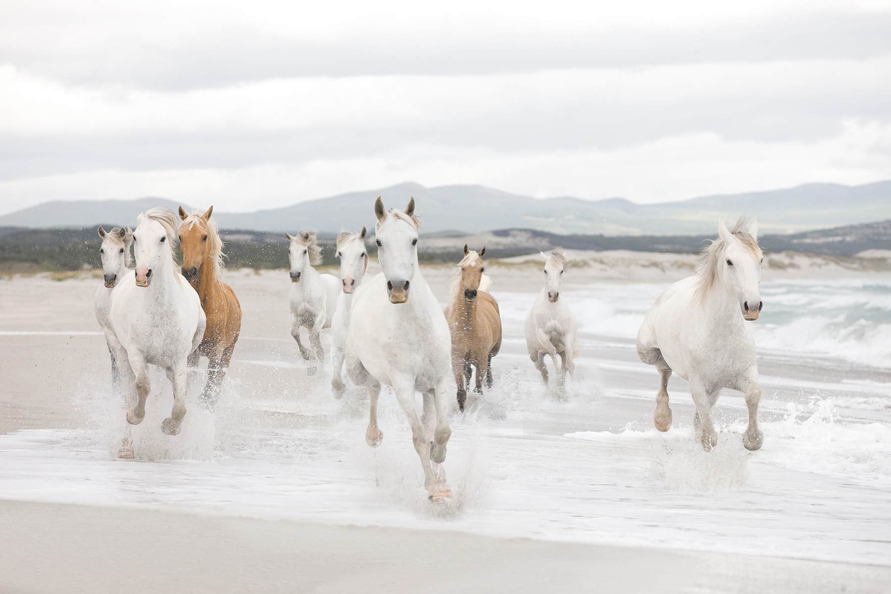 White Horses Mural