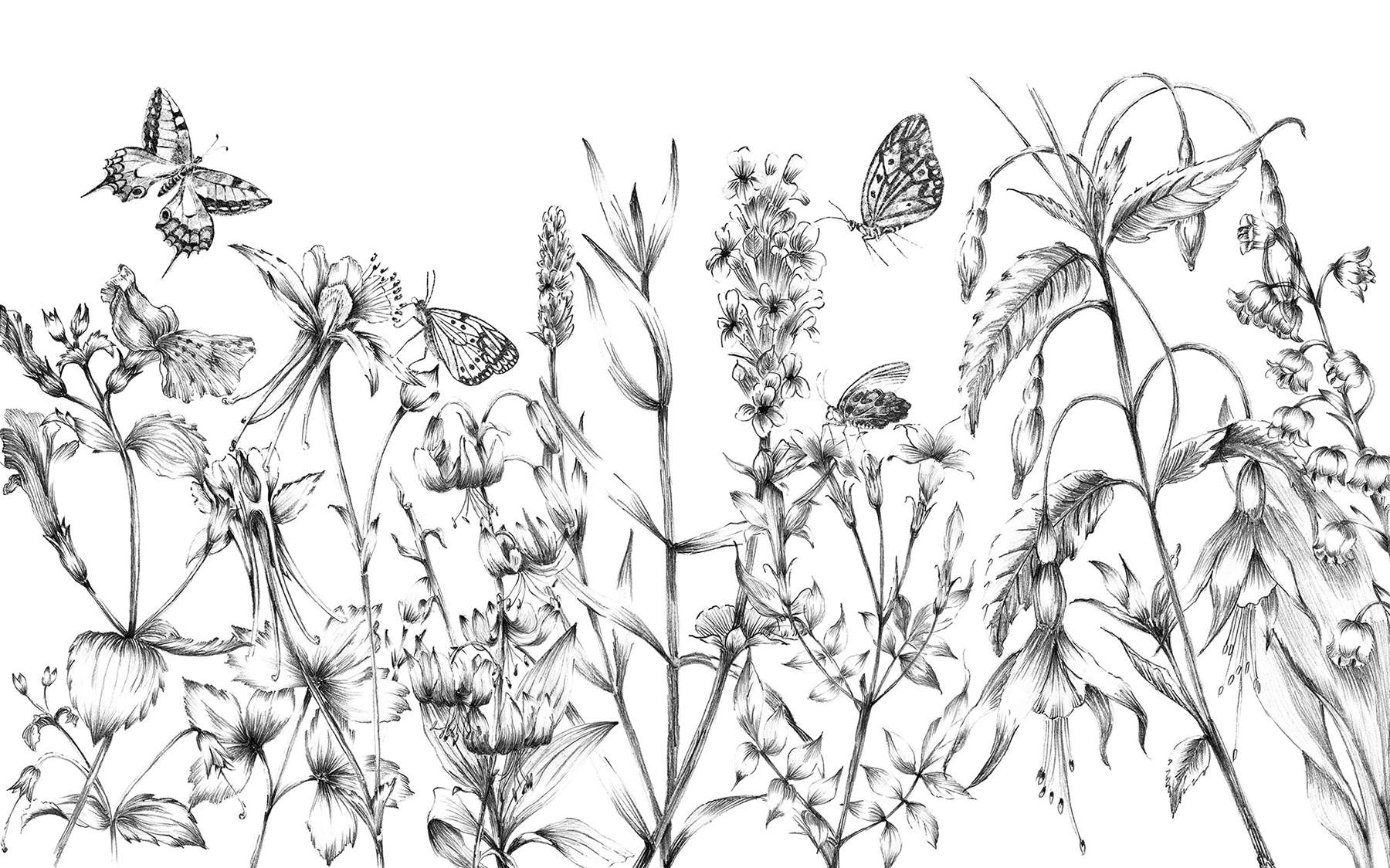 Butterfly Field Wall Mural