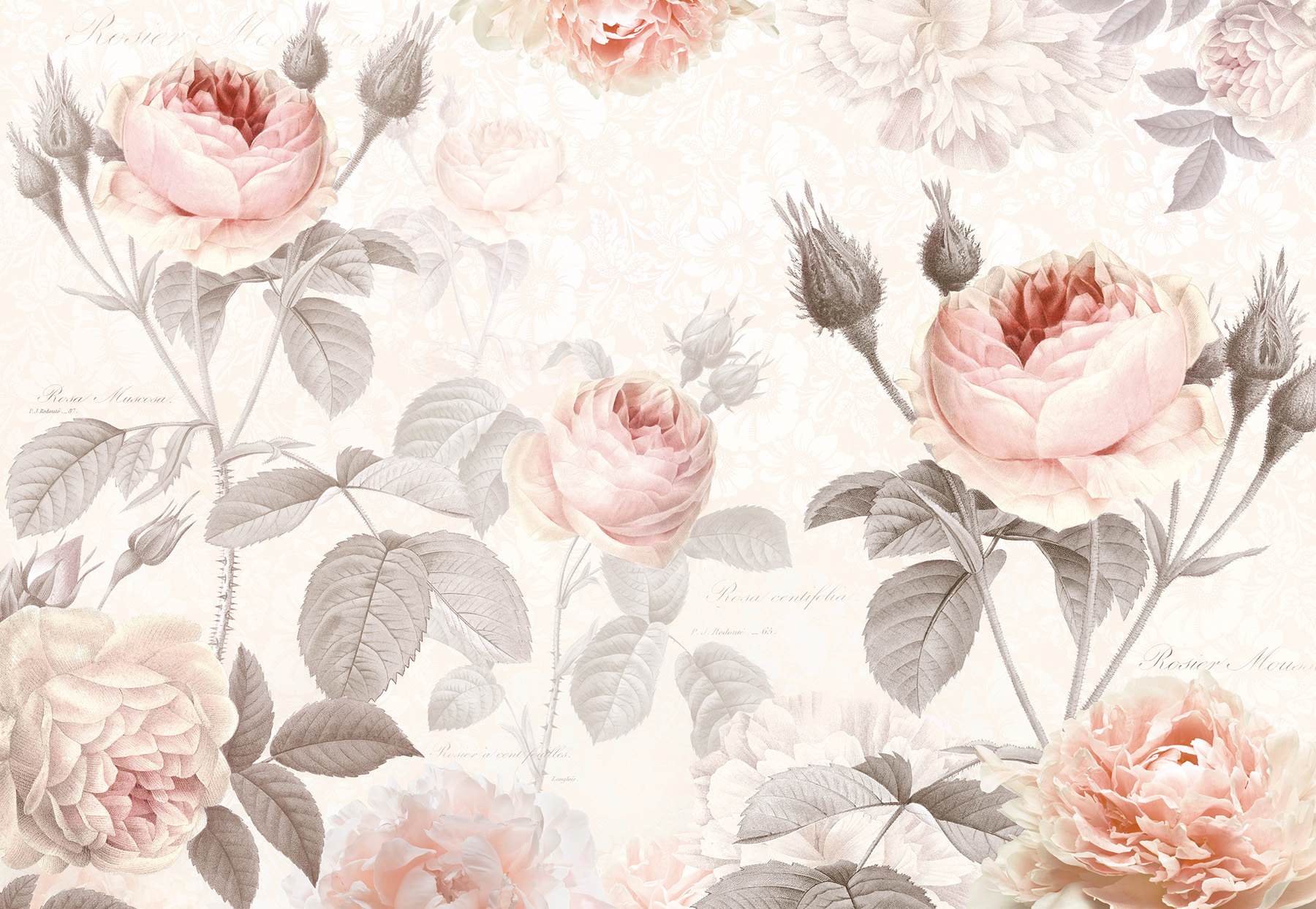 La Maison Wall Mural