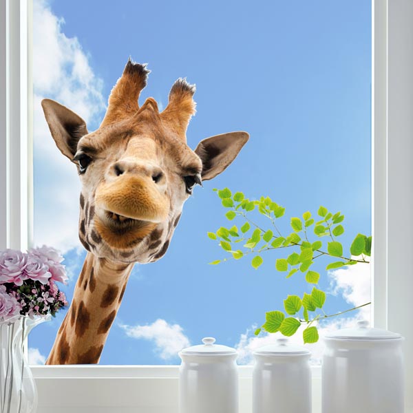 Giraffe Window Decals