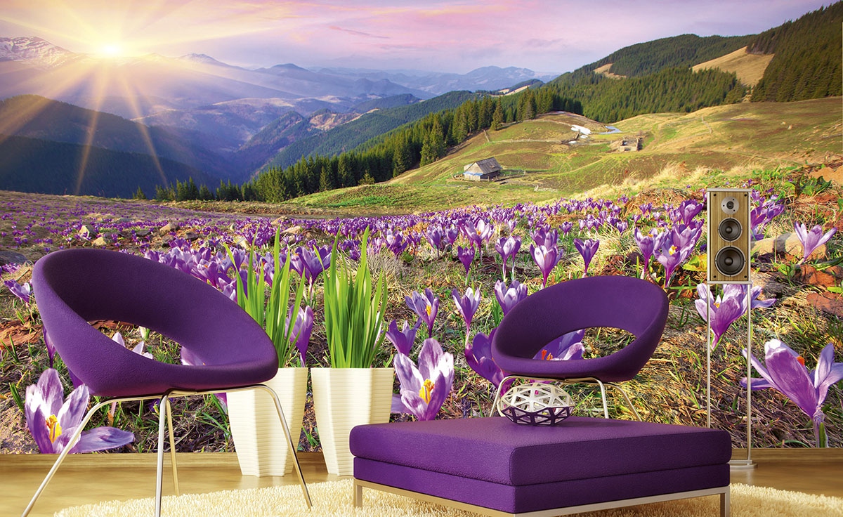 Crocuses at Spring Wall Mural