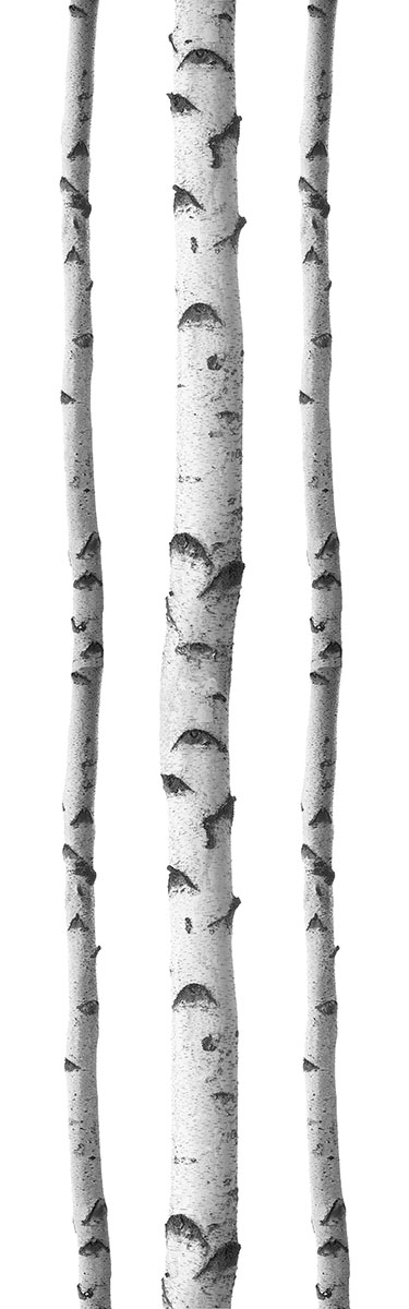 Tall slender porcelain bottle with natural clay textured body and cork stopper.