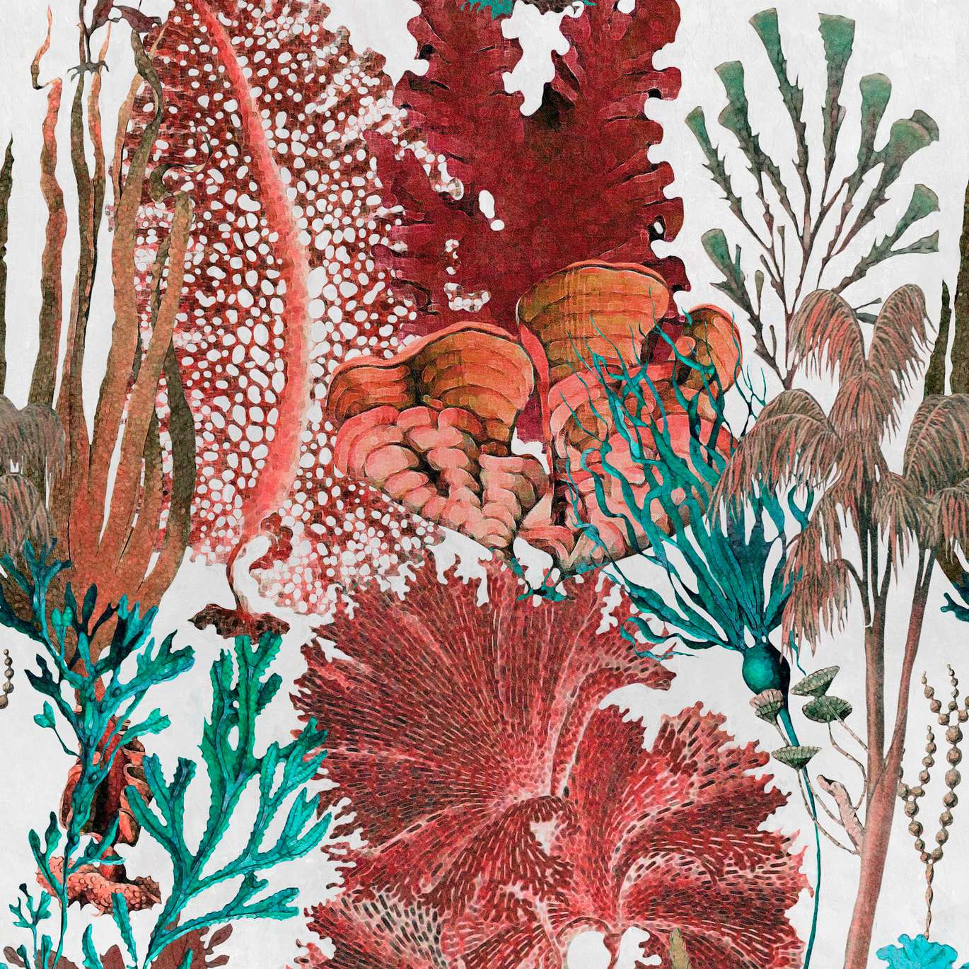 CORAL REEF Red, White, Blue
