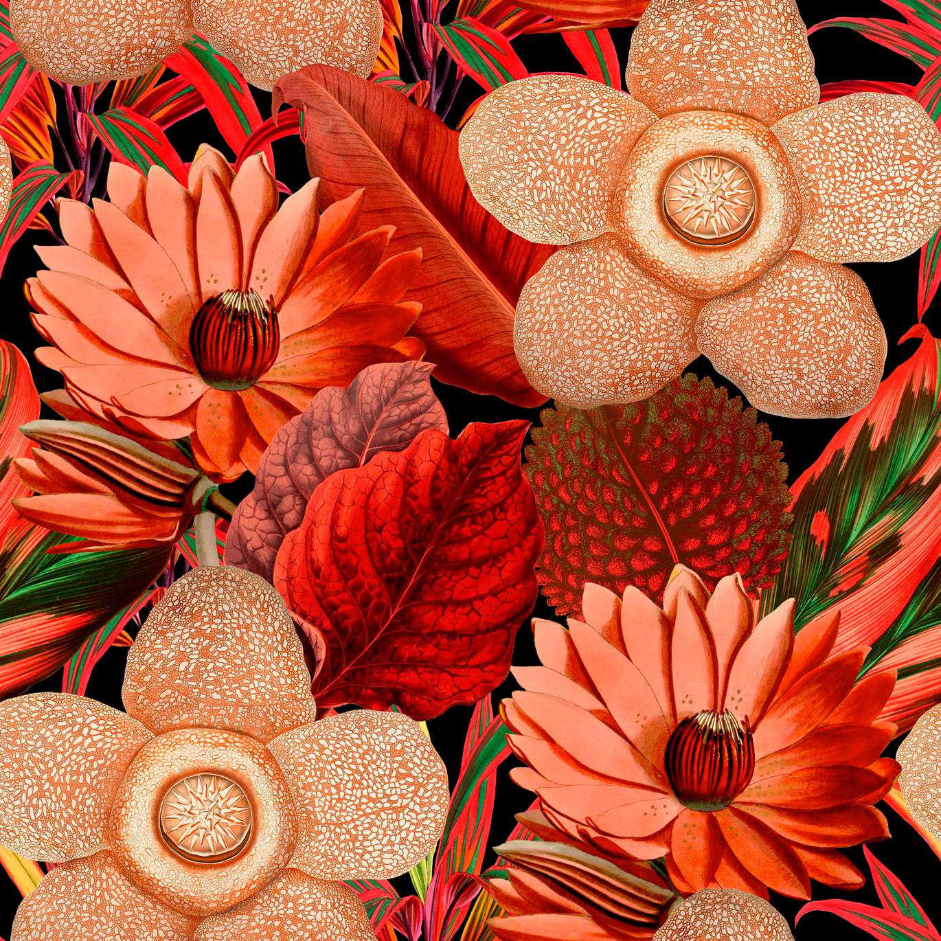 FLORILEGIUM WP20316