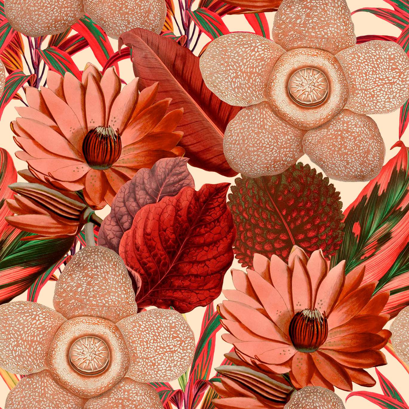 FLORILEGIUM WP20317