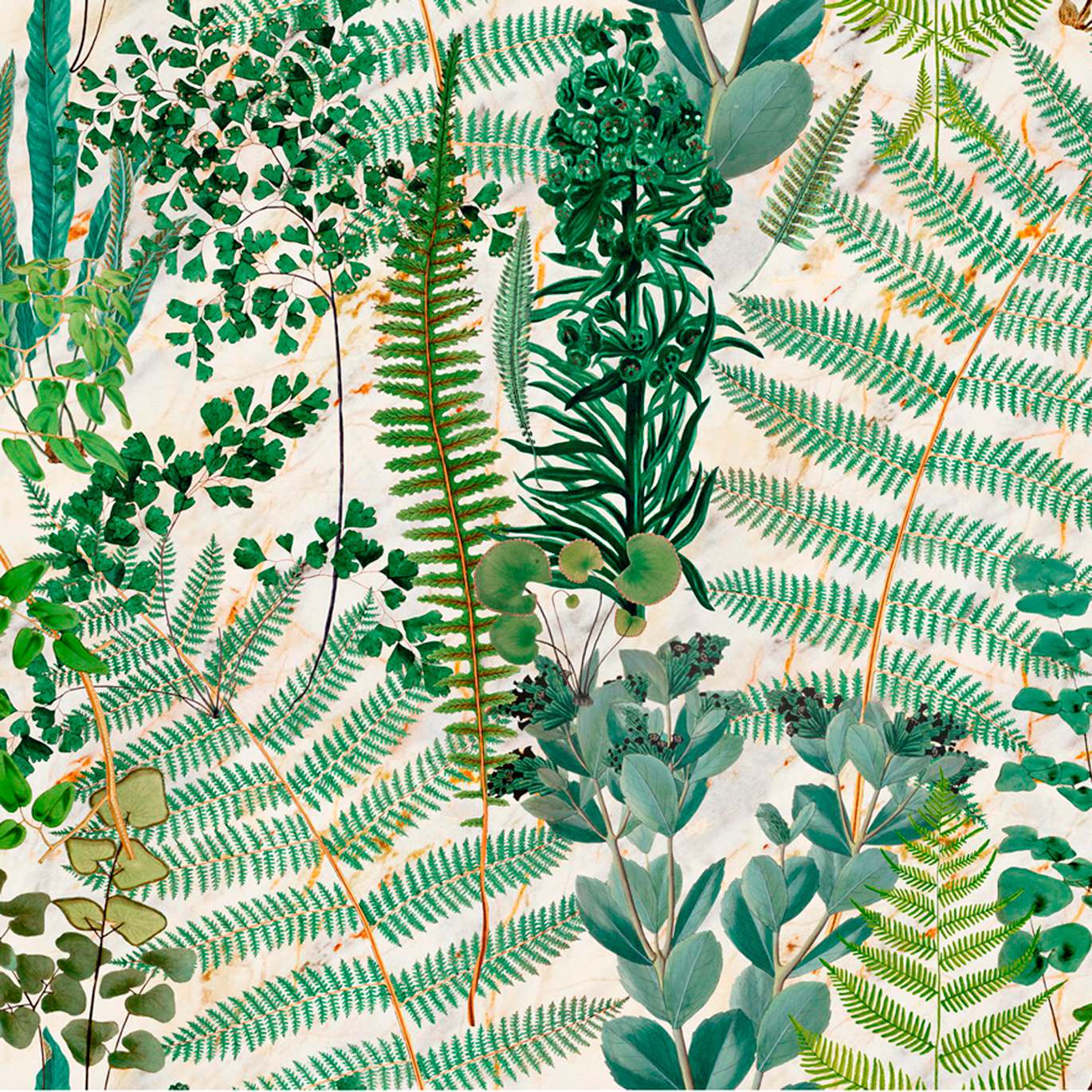 FLORILEGIUM WP20319