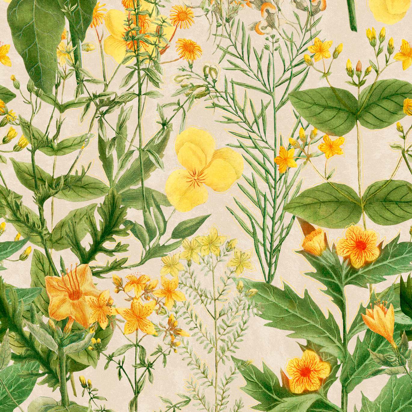 FLORILEGIUM WP20323