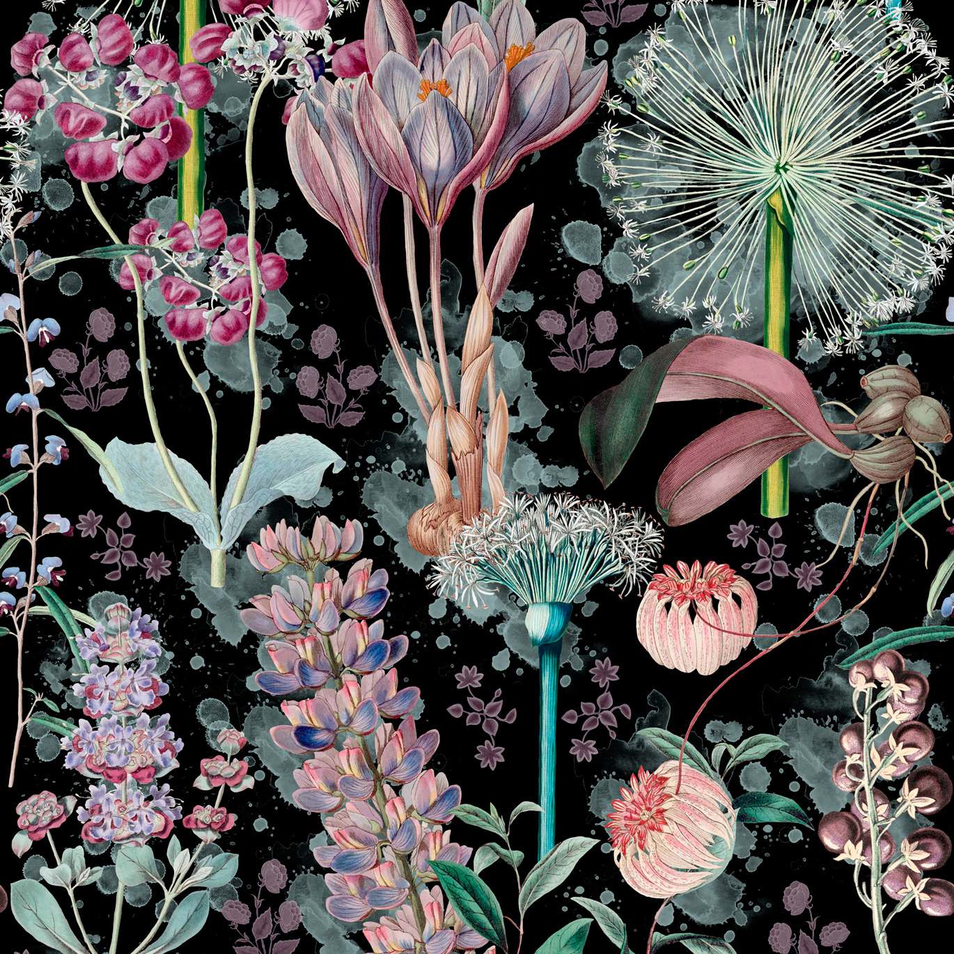 GARDEN OF EDEN Mauve, Black