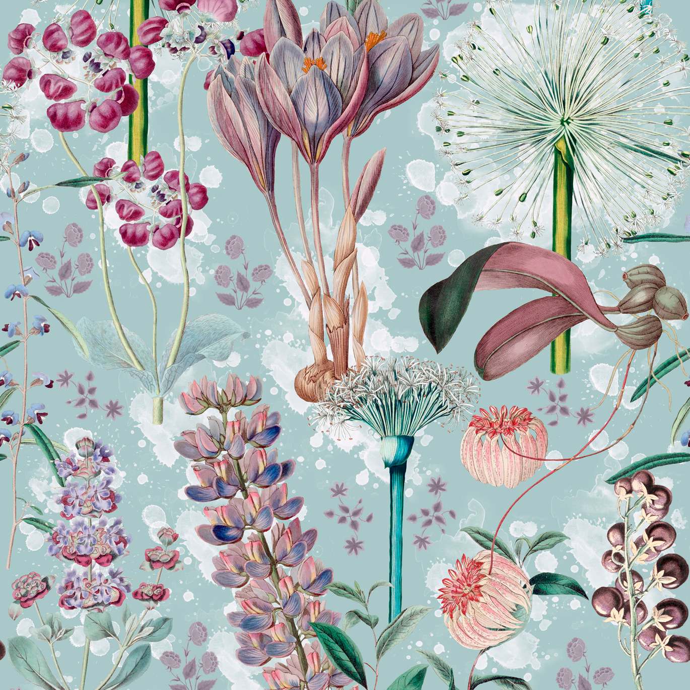 FLORILEGIUM WP20325