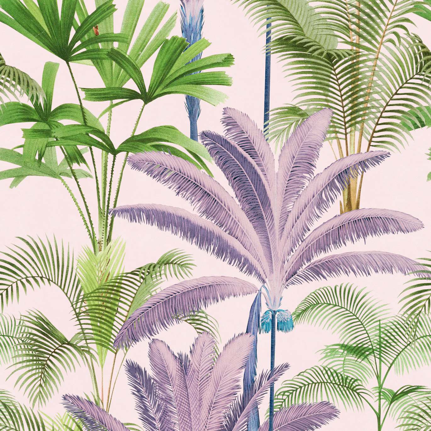 PALMERAS Green, Pink, Purple