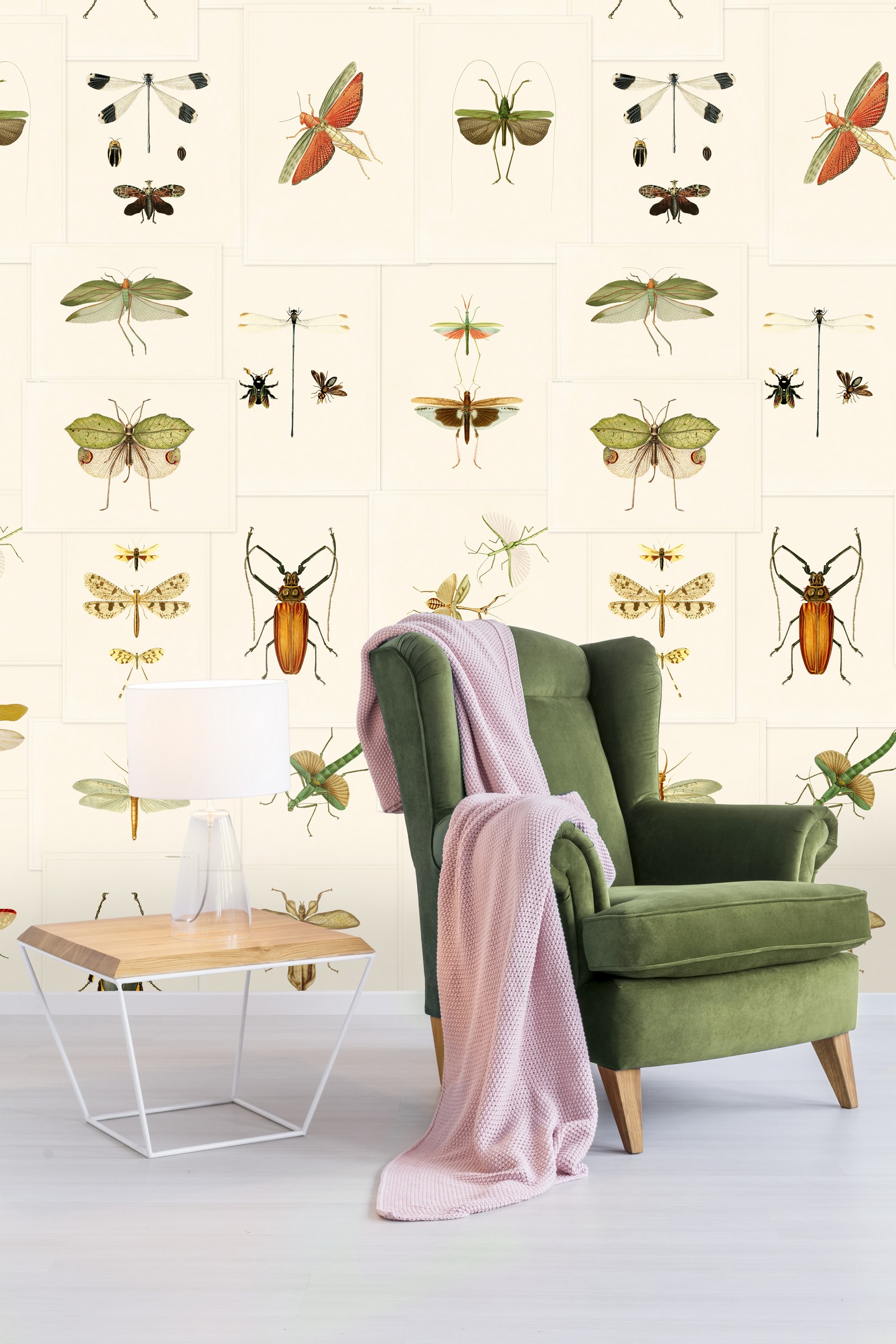 Entomology  