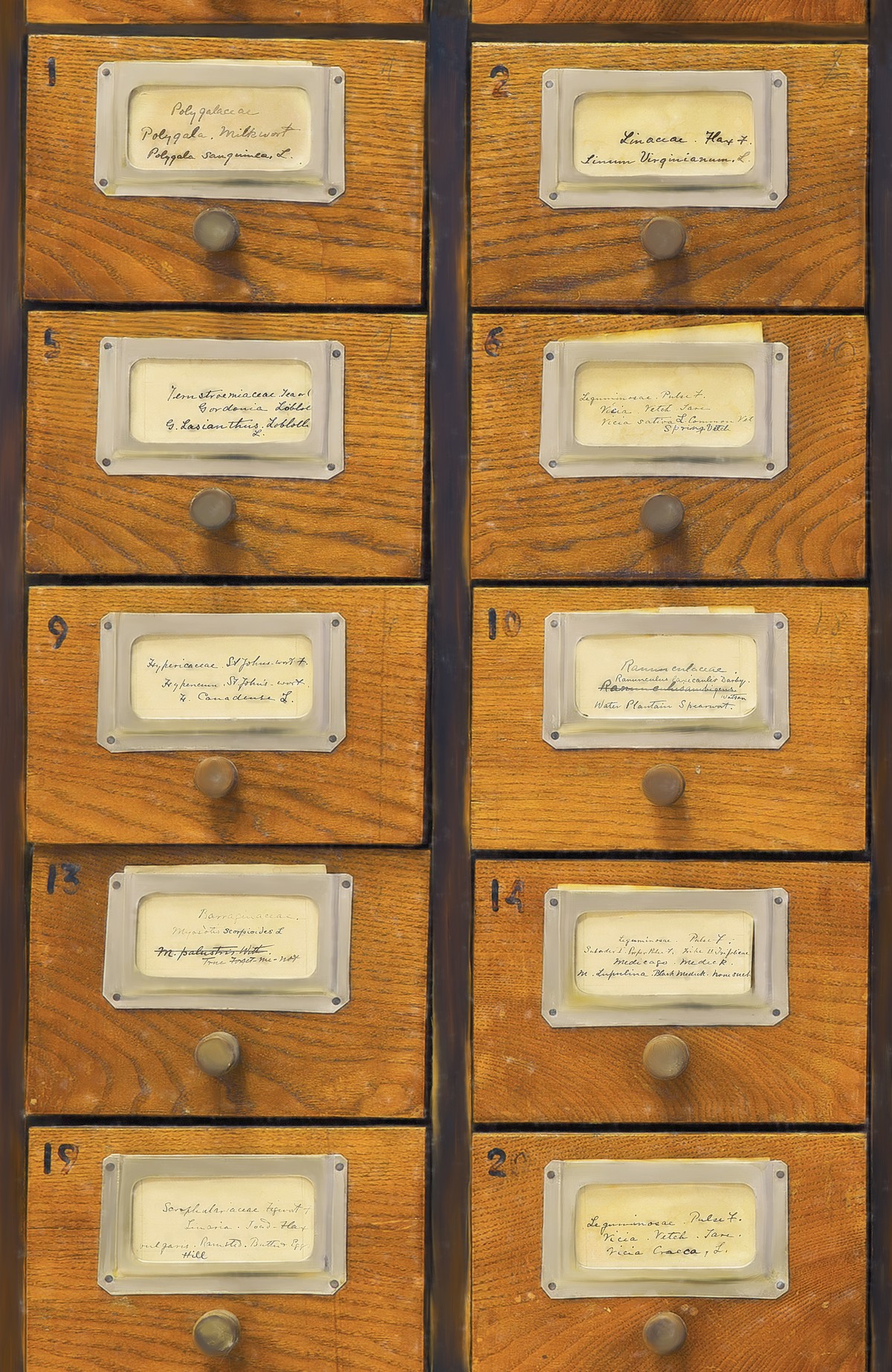 Apothecary