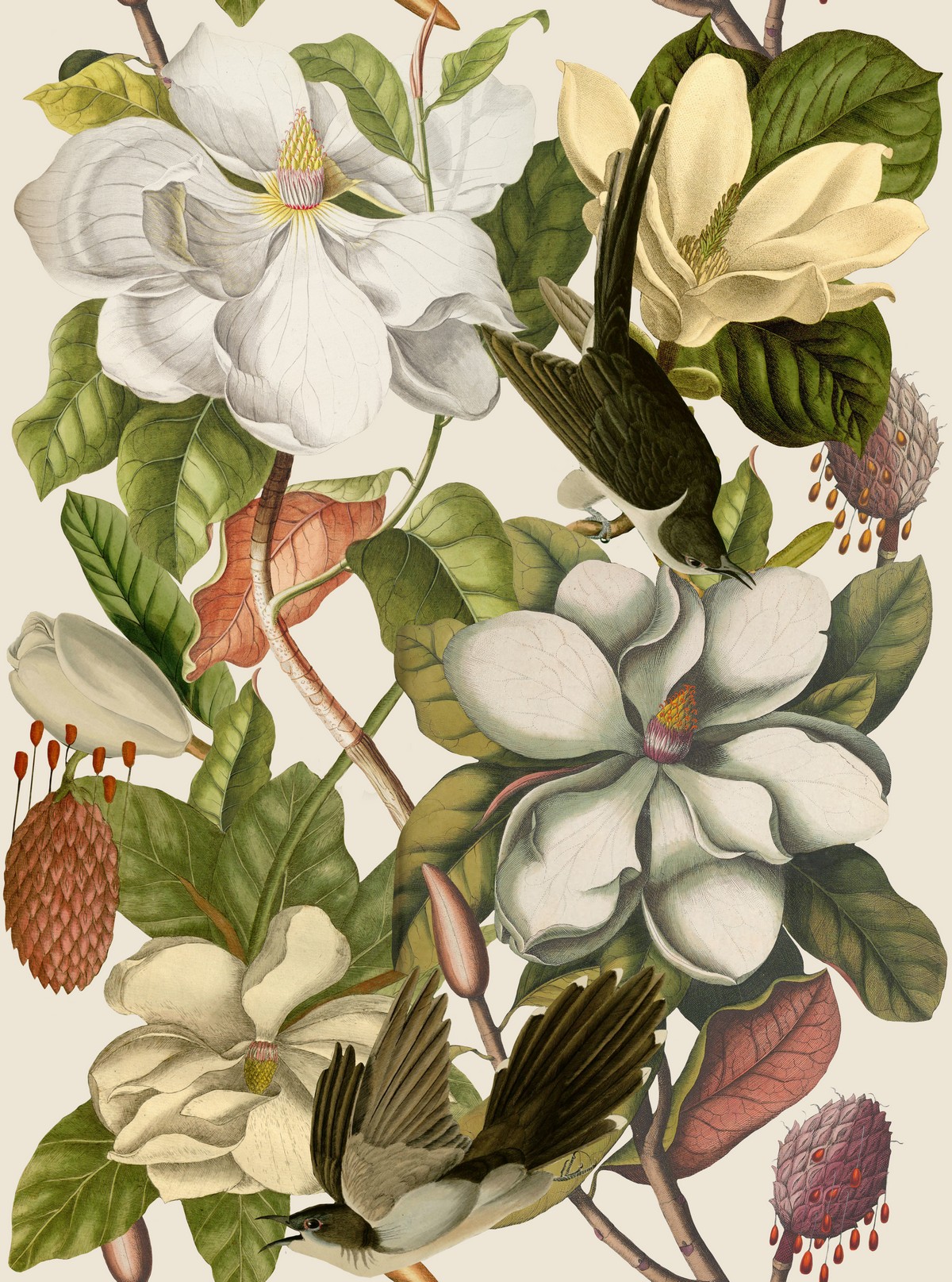 Magnolia Taupe