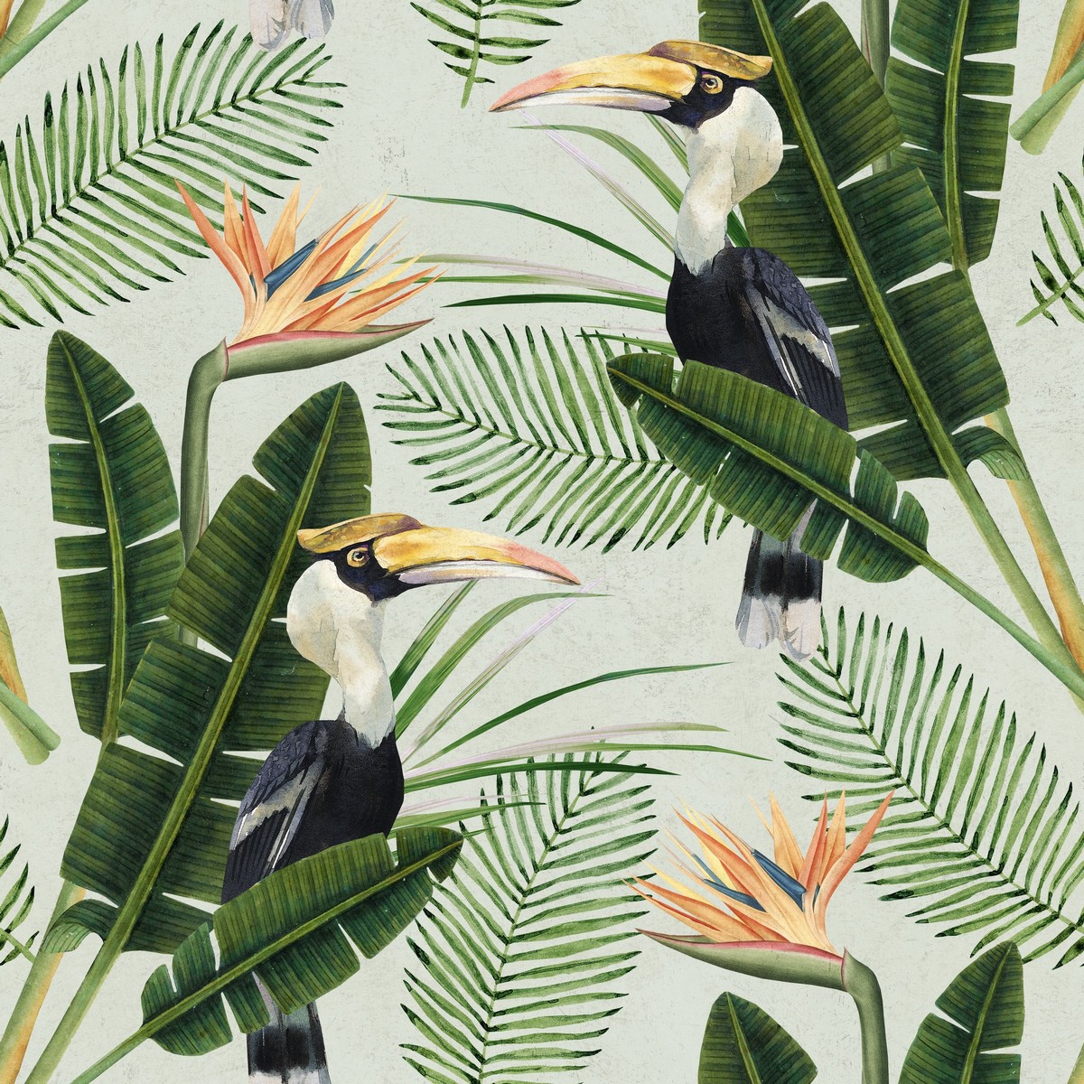 Birds of Paradise  