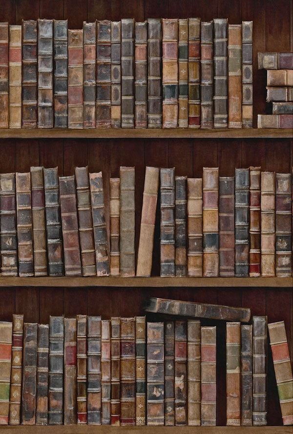Book Shelves  
