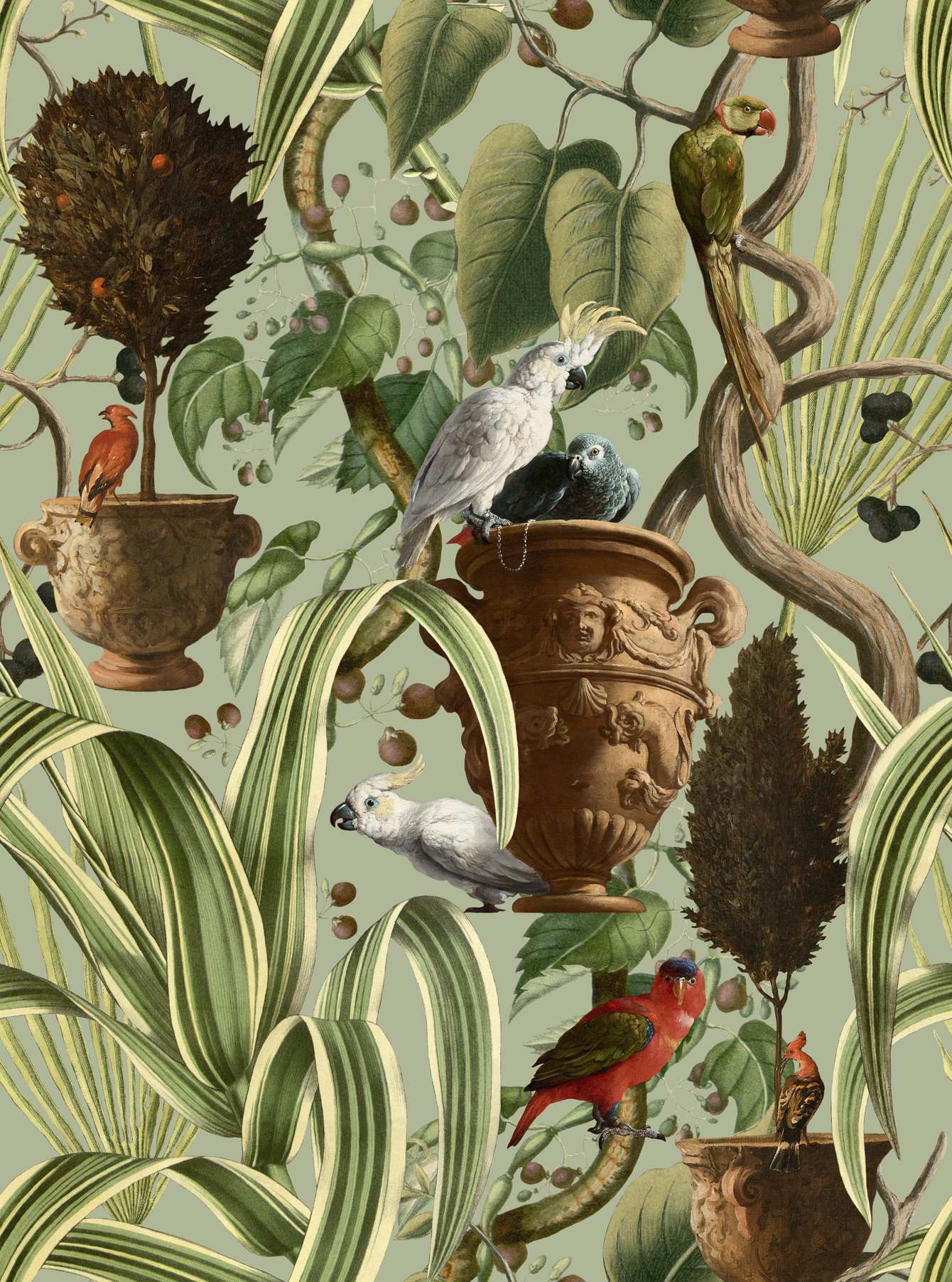 The Tropical Cottage WP20516