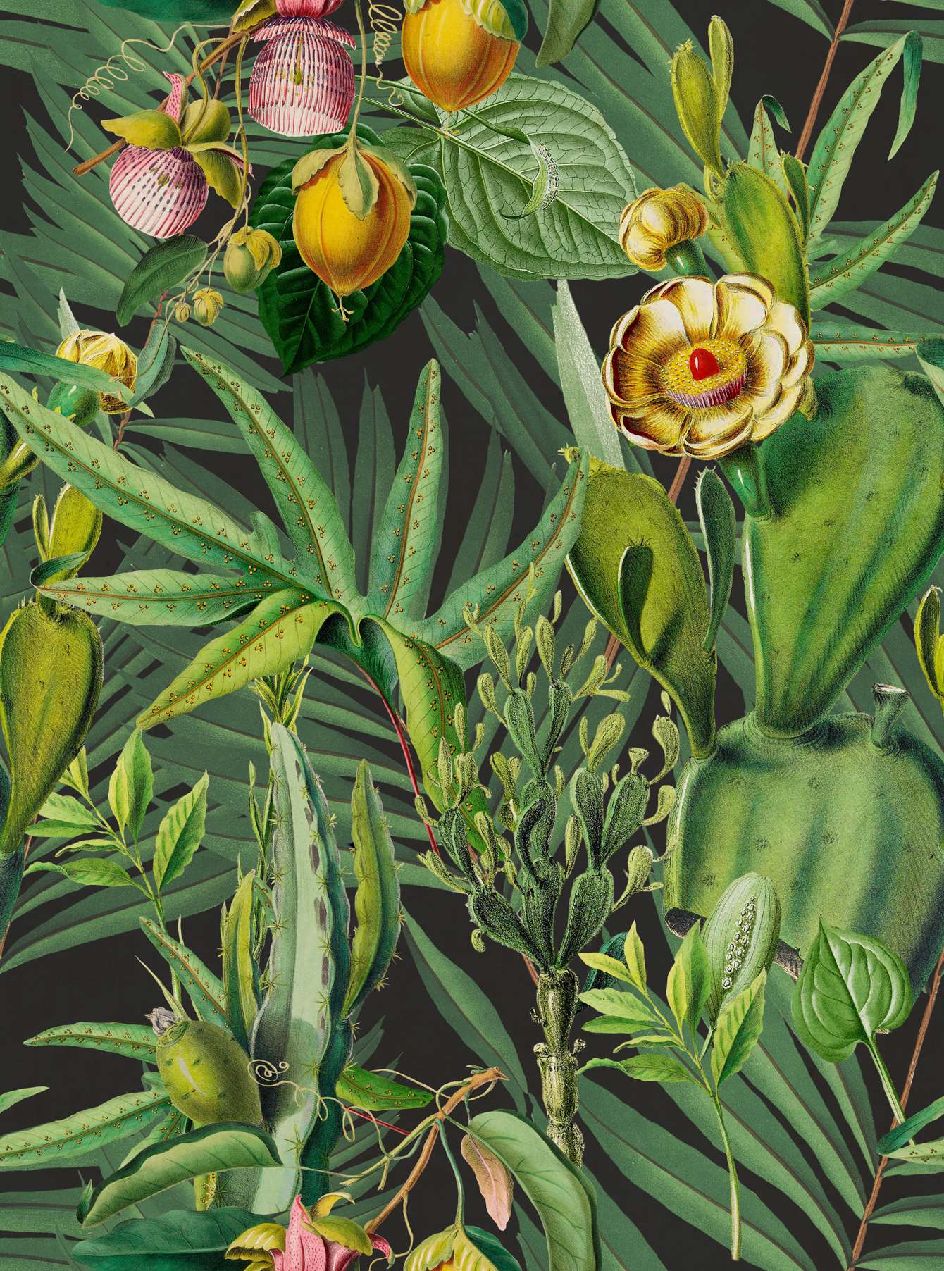 The Tropical Cottage WP20518