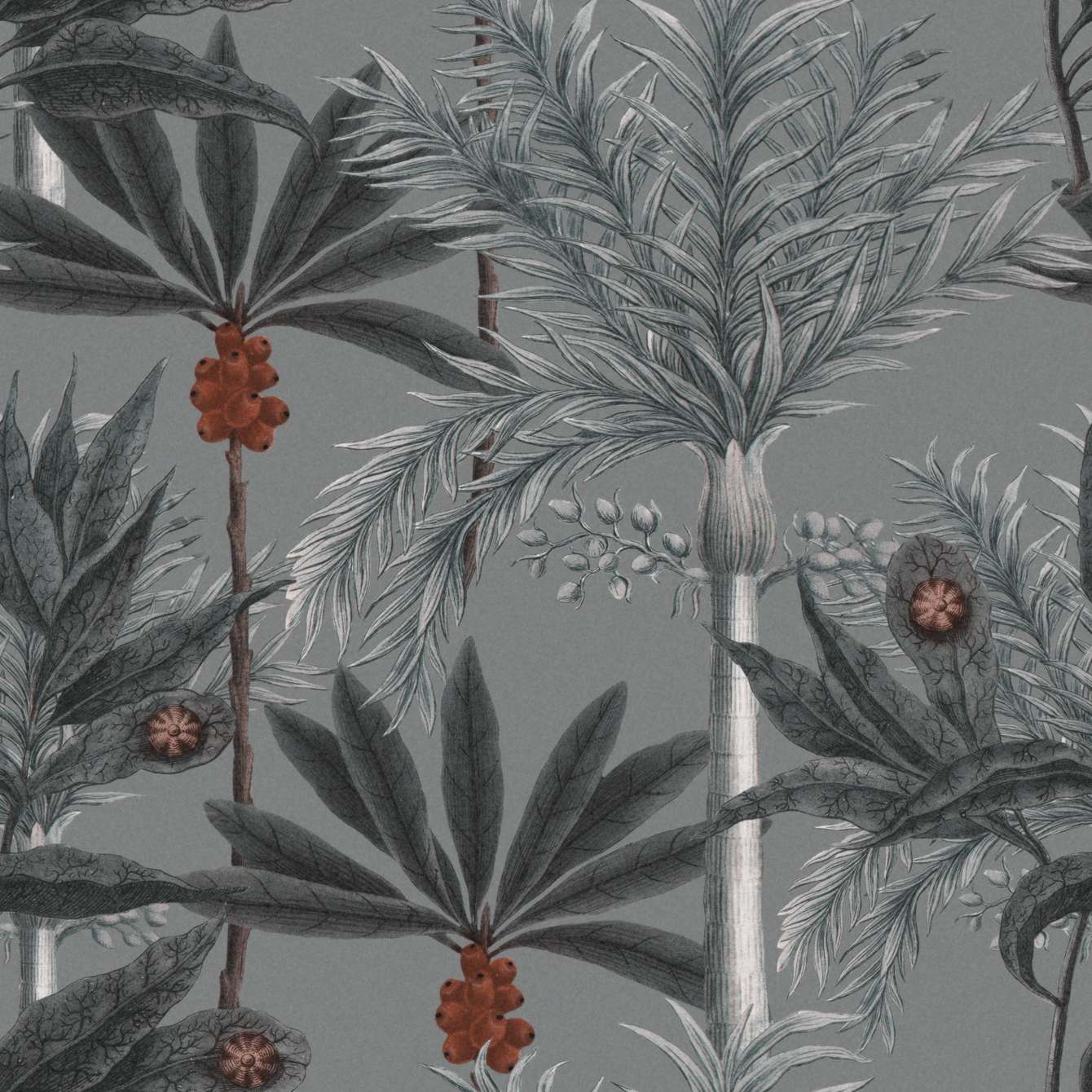 MADAGASCAR Grey Grey
