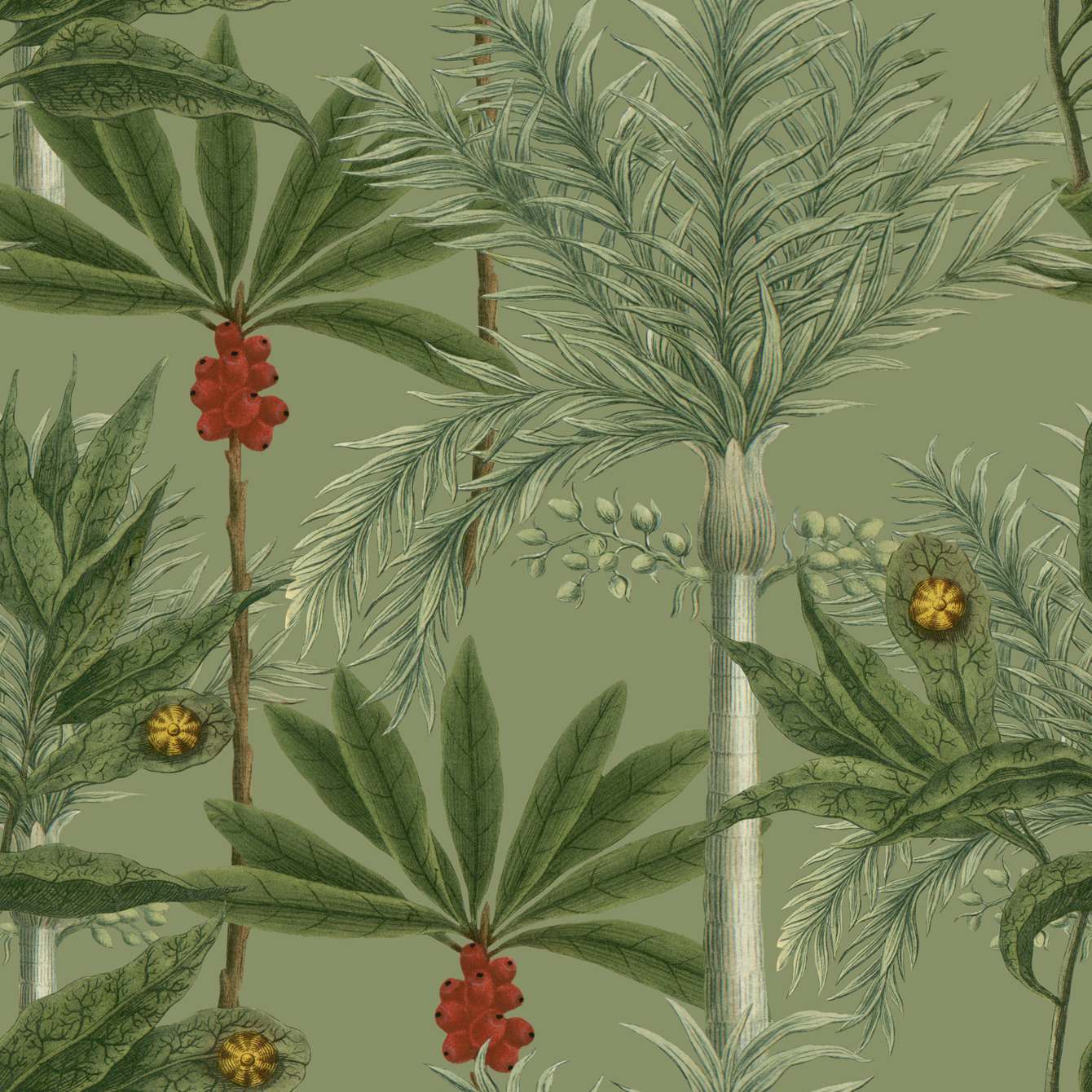 MADAGASCAR Green