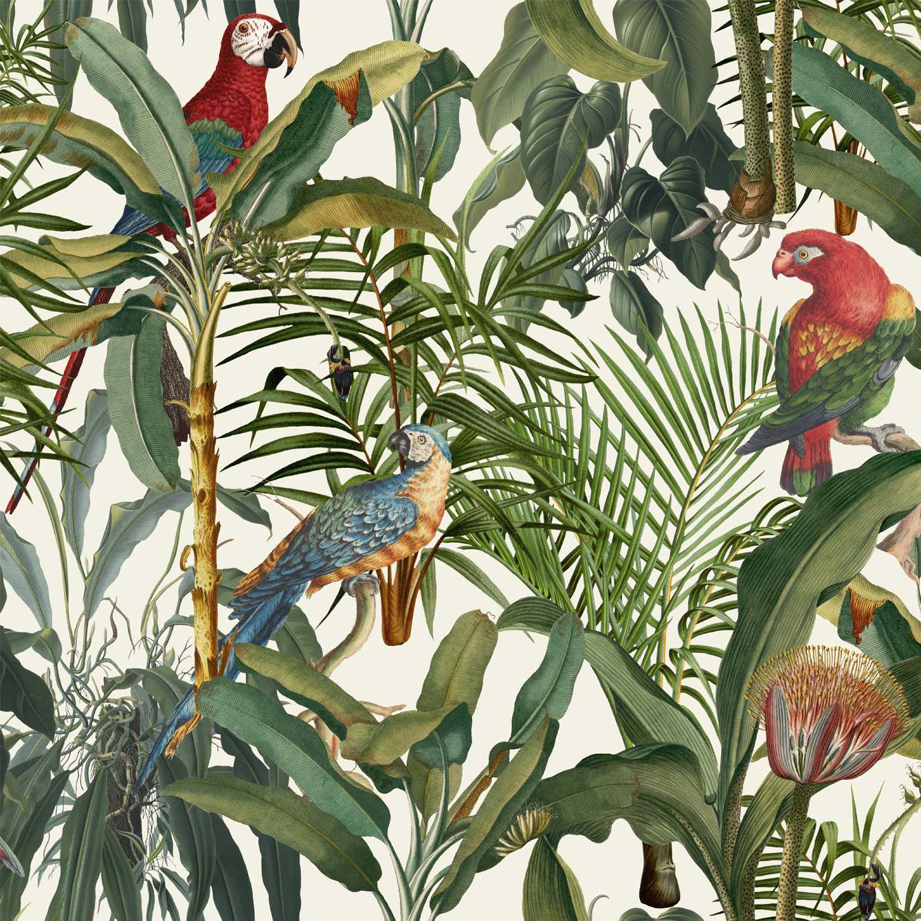 PARROTS OF BRASIL Green