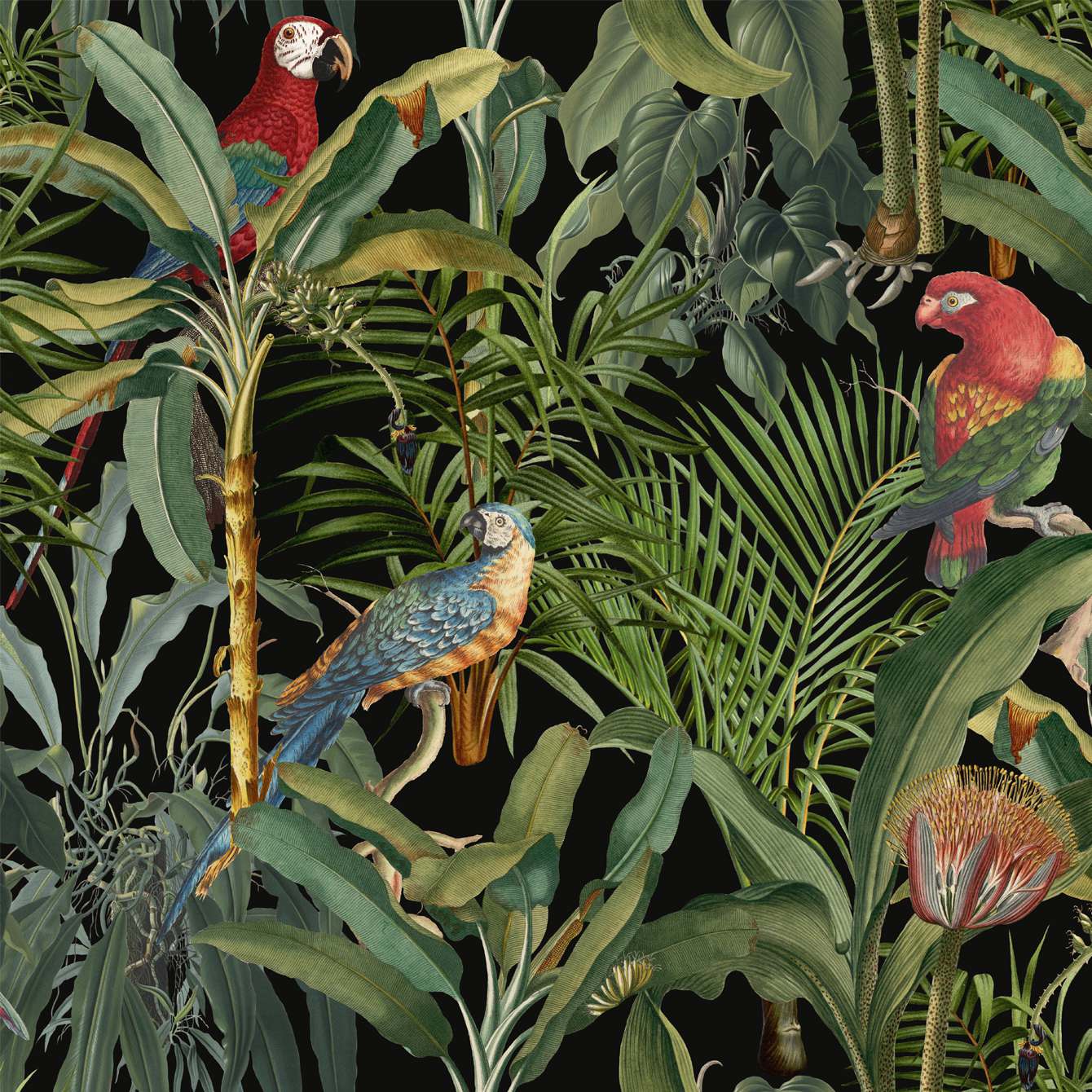 PARROTS OF BRASIL Anthracite Green