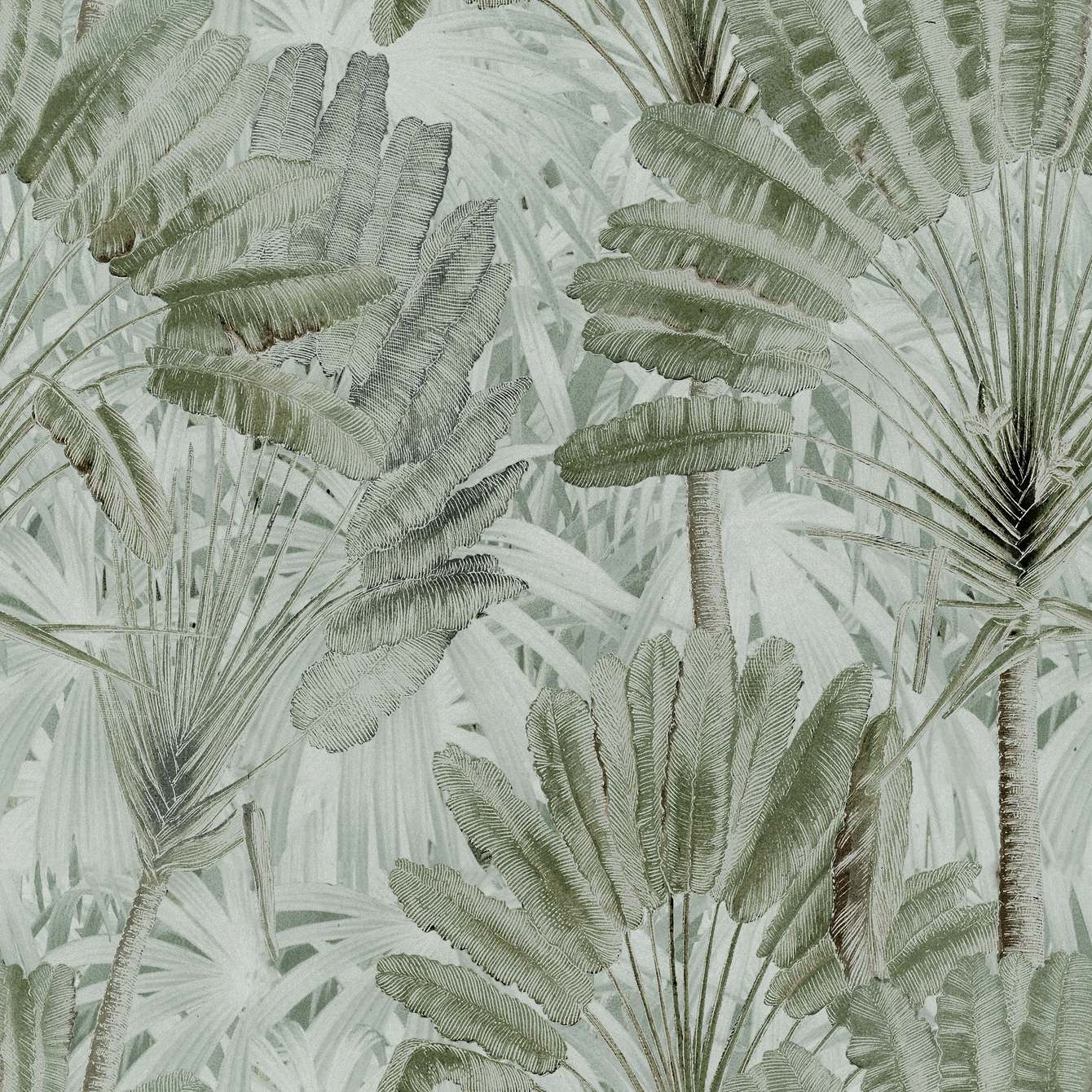 TRAVELLER'S PALM Neutral Green
