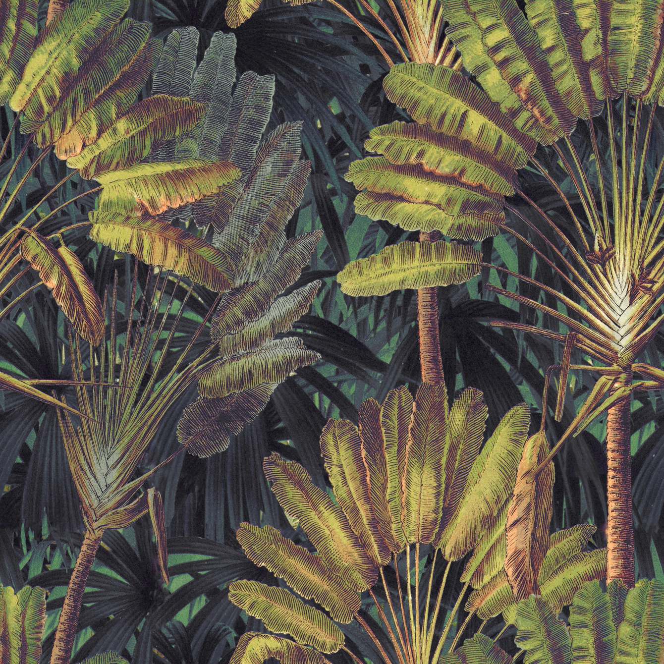 TRAVELLER'S PALM Sunset Green