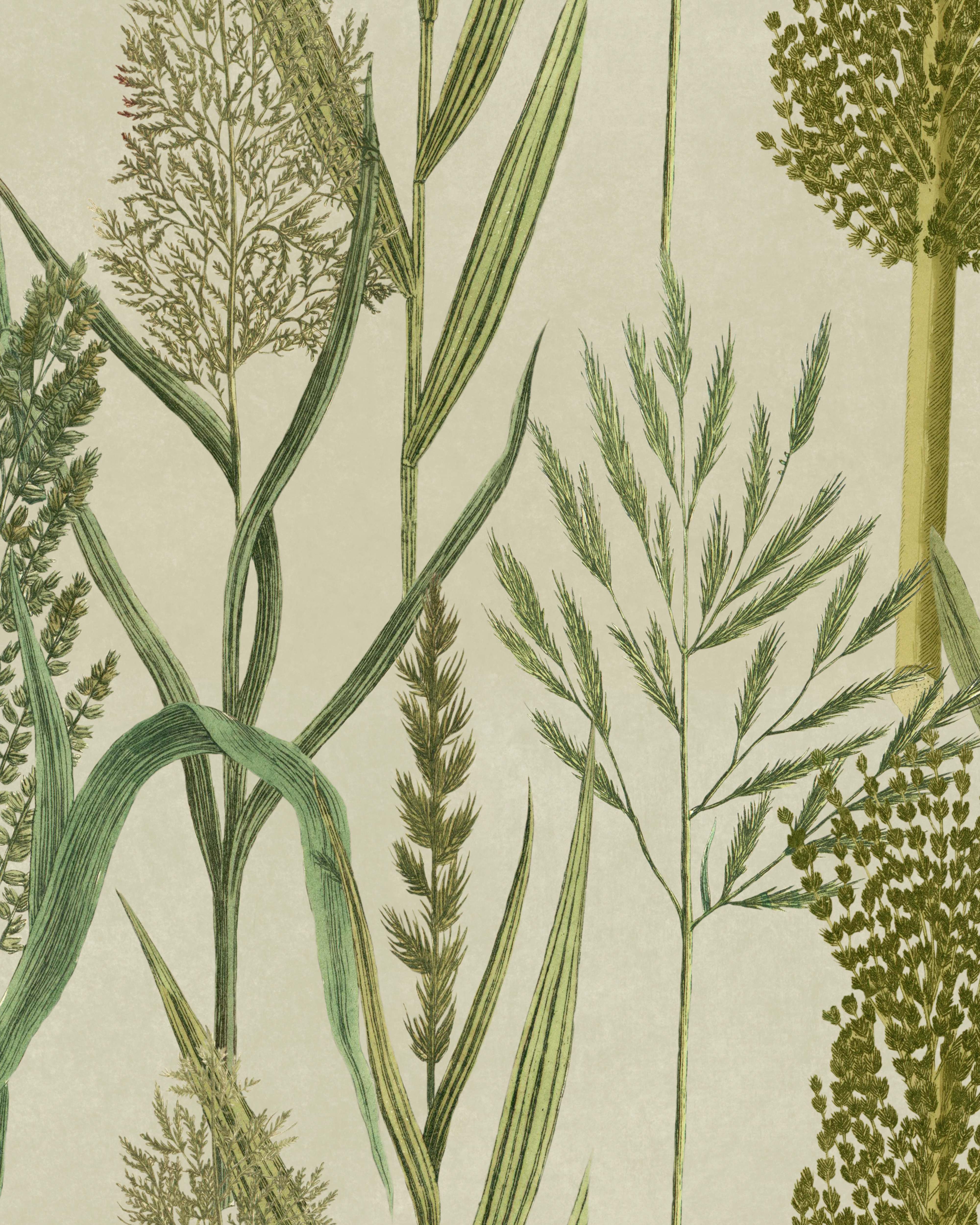 RIVERSIDE FLORA Taupe Green