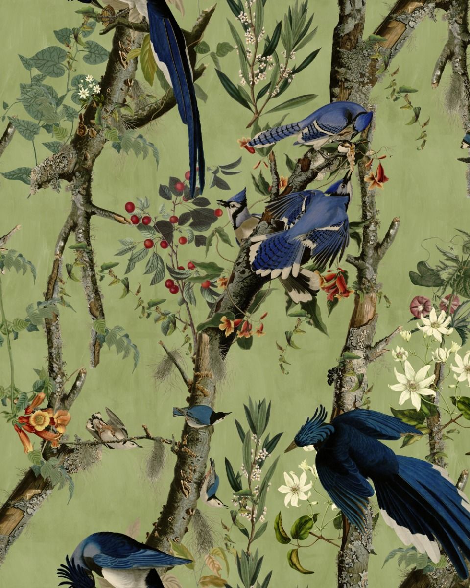 The Wetlands Wallpaper Collection WP20715