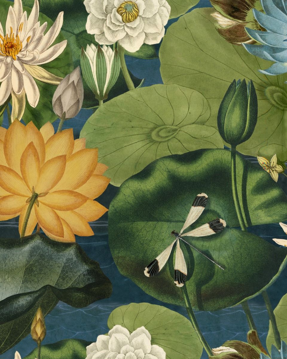 The Wetlands Wallpaper Collection WP20723