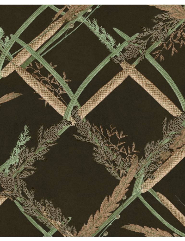 Ornamental Reed Anthracite