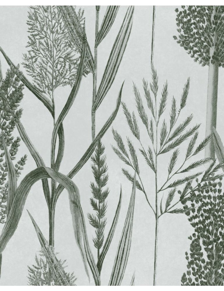 The Wetlands Wallpaper Collection WP30165