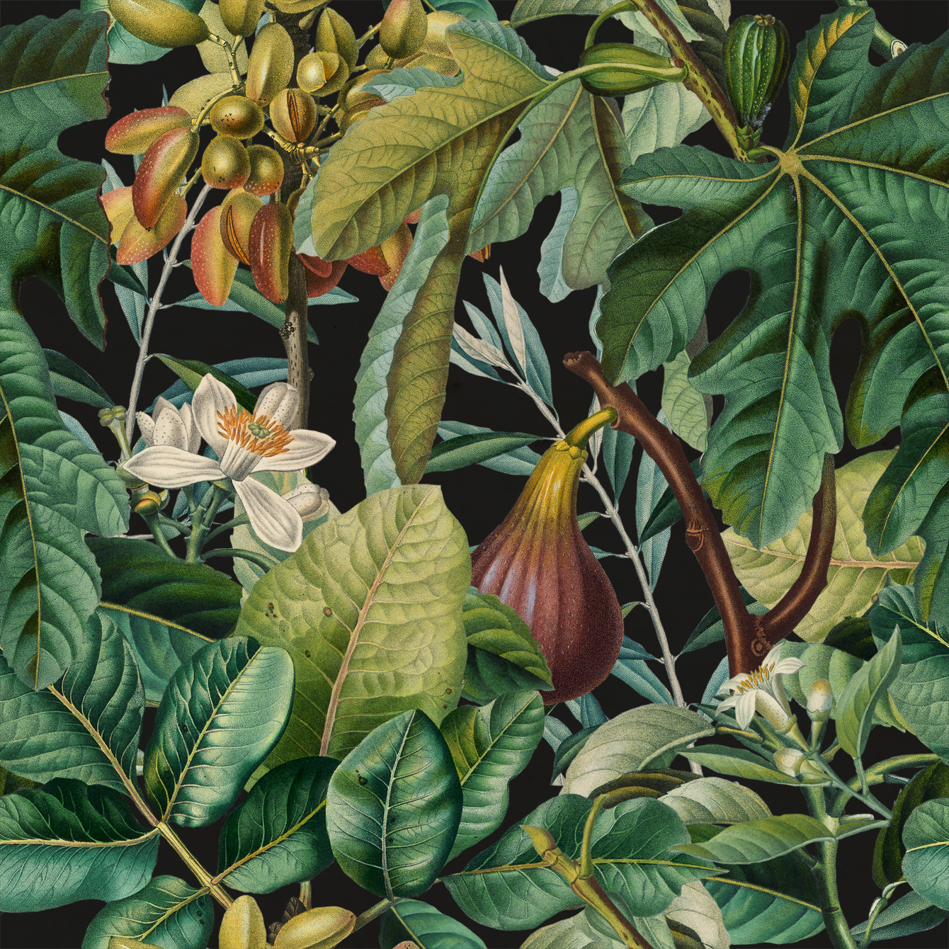 Tropical Wanderlust WP20517