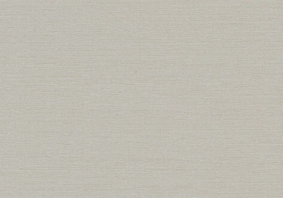 Venue 5th Edition by DeNovo Wall DNVS531